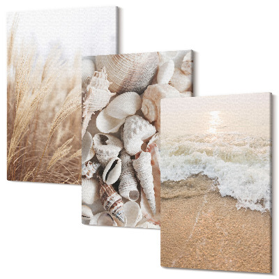 Zestaw obrazów tryptyk na ścianę Motywy plażowe z muszlami i falami morskimi