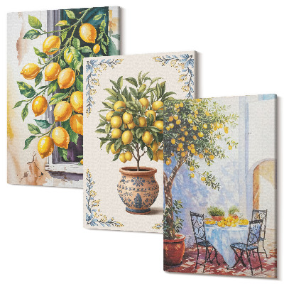 Zestaw obrazów tryptyk na ścianę Cytrynowe drzewa i owoce w słonecznej scenerii