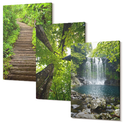 Zestaw obrazów na płótnie tryptyk Ścieżka w lesie wodospad i zielona roślinność