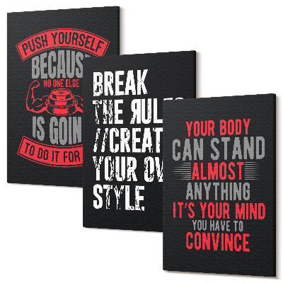Zestaw obrazów na płótnie tryptyk Motywacja do treningu i samorozwoju hasła