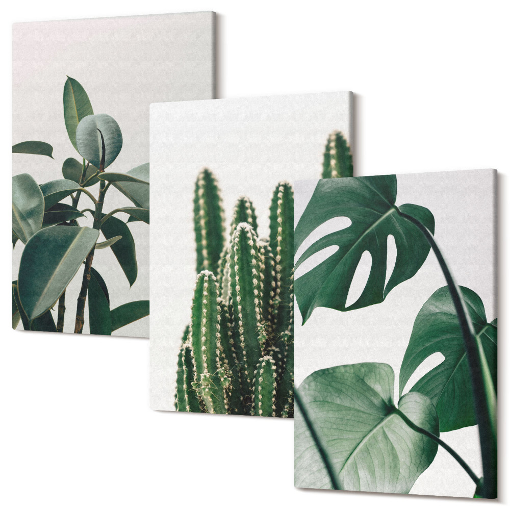 Zestaw obrazów 3 części tryptyk Tropikalne rośliny domowe estetyczne liście