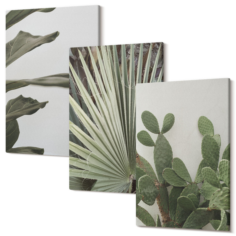 Zestaw obrazów 3 części tryptyk Liście roślin tropikalnych w pastelowych barwach