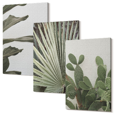 Zestaw obrazów 3 części tryptyk Liście roślin tropikalnych w pastelowych barwach
