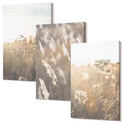 Zestaw obrazów na płótnie tryptyk Krajobraz z trawami i kwiatami w ciepłych odcieniach