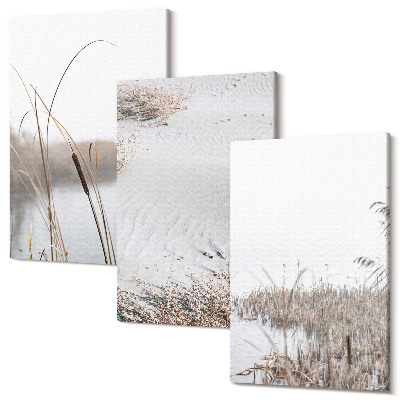 Zestaw obrazów na płótnie tryptyk Roślinność nadwodna delikatne widoki lata