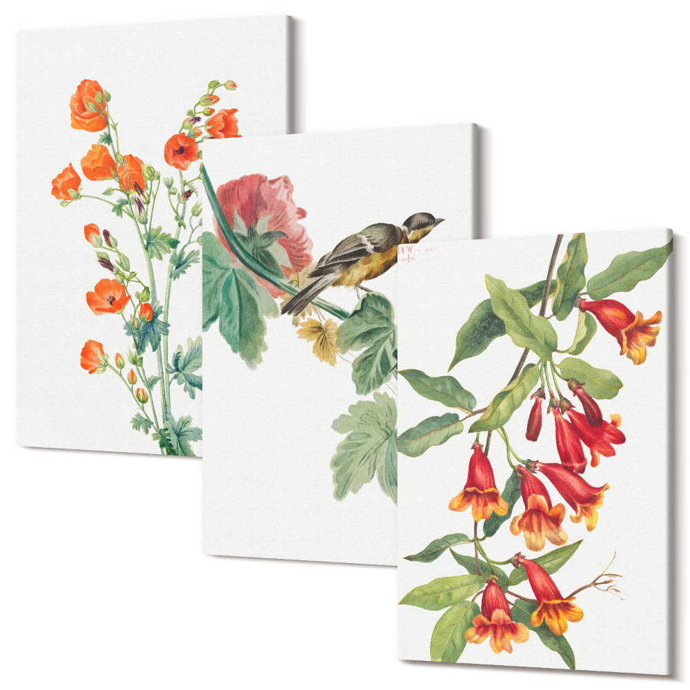 Zestaw obrazów 3 części tryptyk Malowane kwiaty retro i ptak na gałęzi