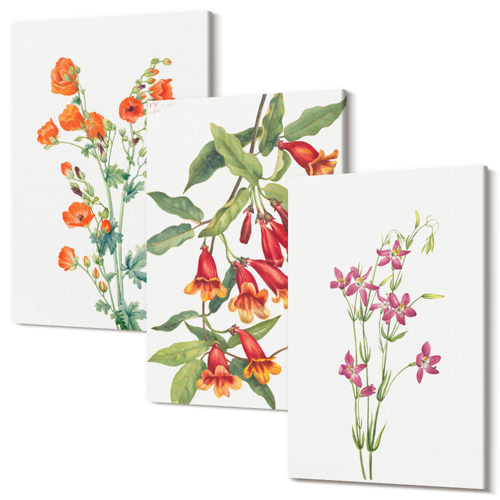 Zestaw obrazów na płótnie tryptyk Malunek kwiatów w stylu vintage retro