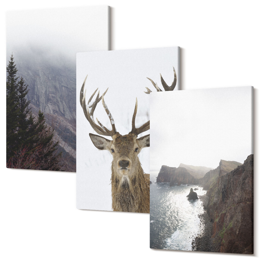 Zestaw obrazów na płótnie tryptyk Krajobraz górski z mgłą wodą i jeleniem