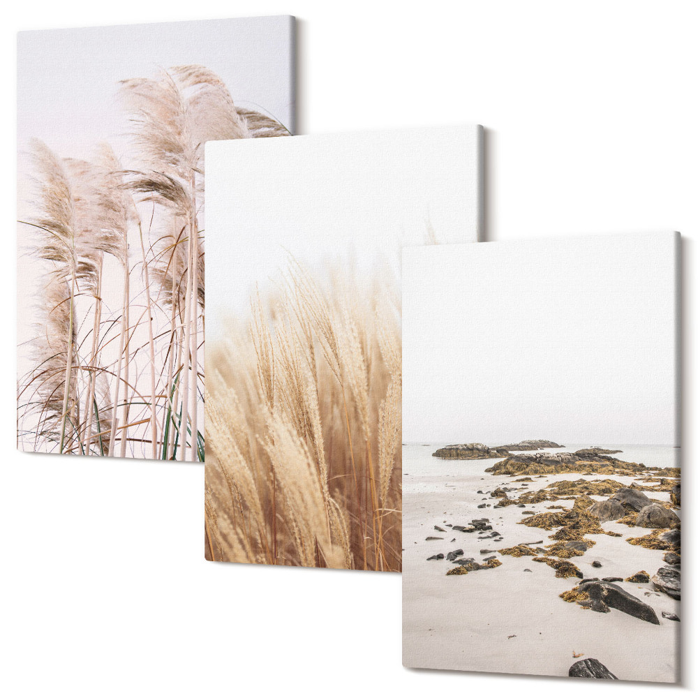 Zestaw obrazów tryptyk na ścianę Pola traw pampasowych i nadmorska plaża styl boho