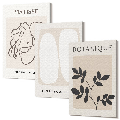 Zestaw obrazów 3 części tryptyk Stylowe minimalistyczne obrazy z motywami roślinnymi Matisse