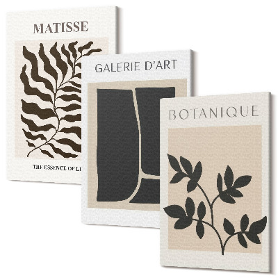 Zestaw obrazów na płótnie tryptyk Minimalistyczne postery wzory roślinne abstrakcje