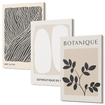 Zestaw obrazów na płótnie tryptyk Wzory roślinne i minimalistyczne linie w neutralnych kolorach