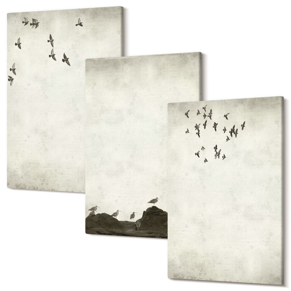 Zestaw obrazów tryptyk na ścianę Lecące stado ptaków styl minimalistyczny