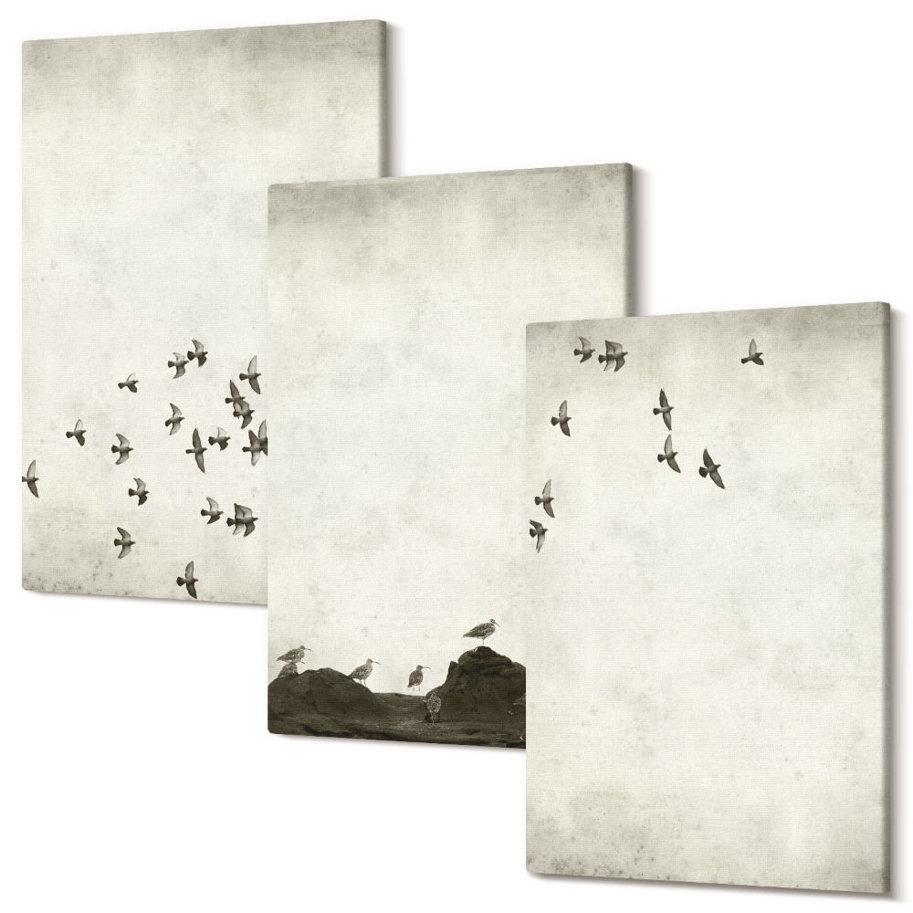 Zestaw obrazów 3 części tryptyk Ptaki w locie malowany styl minimalistyczny