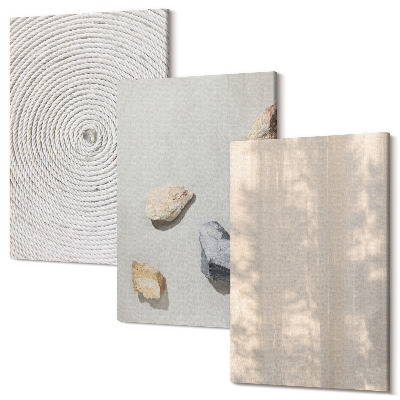 Zestaw obrazów na płótnie tryptyk Boho tekstury naturalne struktury