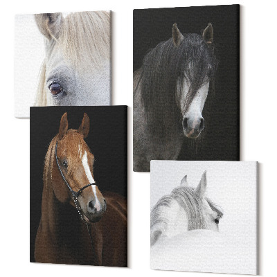 Zestaw obrazów 4 części kwadryptyk Portrety koni w różnych odcieniach sierści