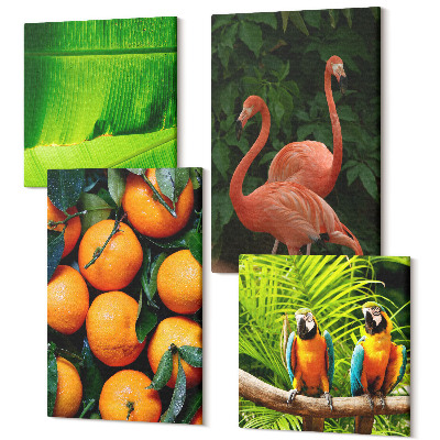 Zestaw obrazów kwadryptyk na ścianę Owocowe akcenty z papugami i flamingami w tropikach
