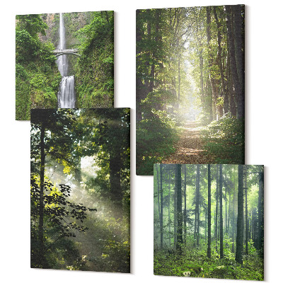 Zestaw obrazów kwadryptyk na ścianę Zielone lasy z promieniami światła i leśną ścieżką
