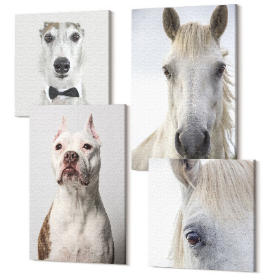 Zestaw obrazów na płótnie kwadryptyk Ciekawe portrety psów i konia w eleganckim stylu
