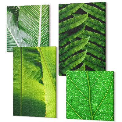 Zestaw obrazów kwadryptyk na ścianę Zbliżenia na liście tropikalna natura