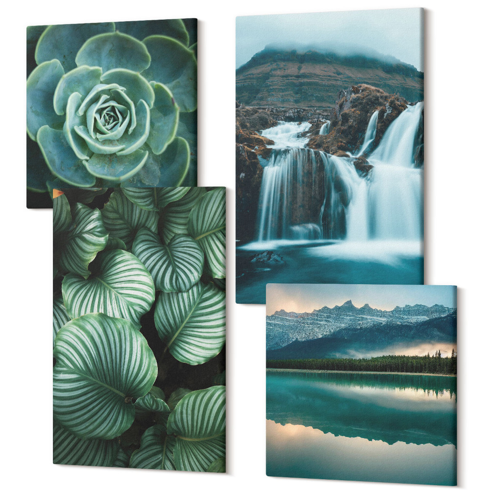 Zestaw obrazów kwadryptyk na ścianę Zbliżenia na rośliny liście sukulenty