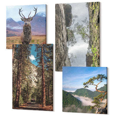 Zestaw obrazów na płótnie kwadryptyk Droga w lesie góry i jeleń w naturze