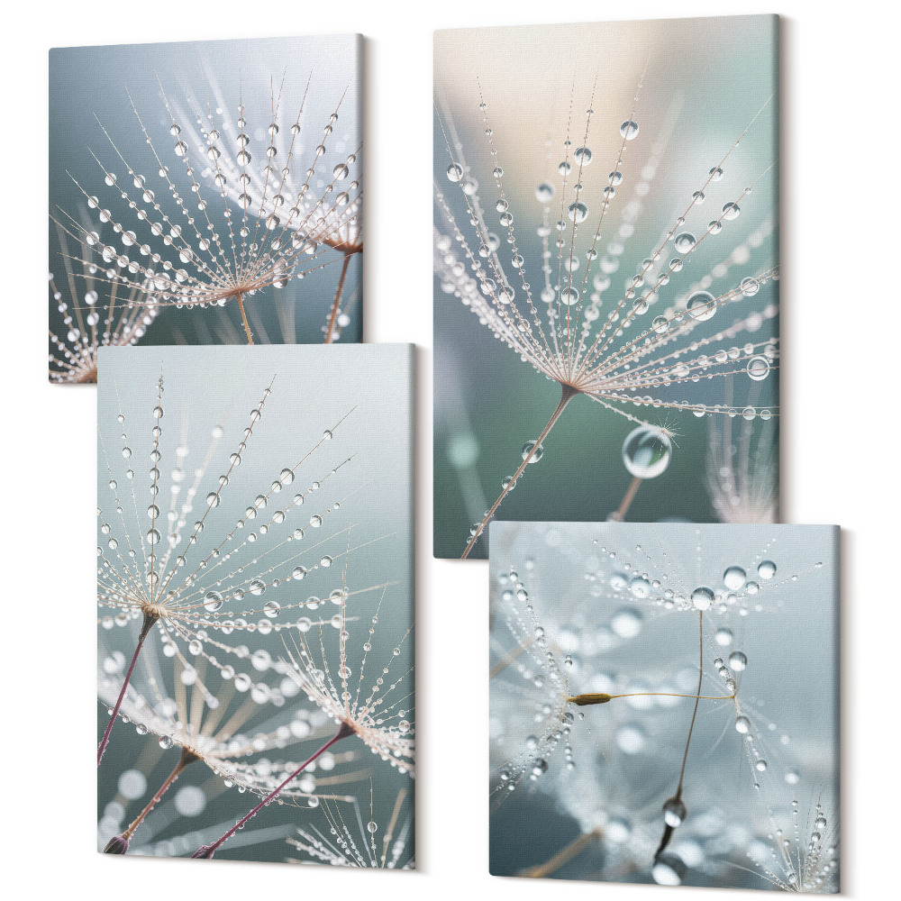 Zestaw obrazów kwadryptyk na ścianę Krople wody na delikatnych pędach dmuchawców