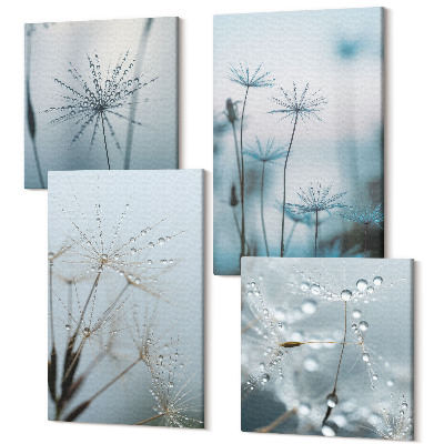 Zestaw obrazów na płótnie kwadryptyk Delikatne dmuchawce z kroplami wody