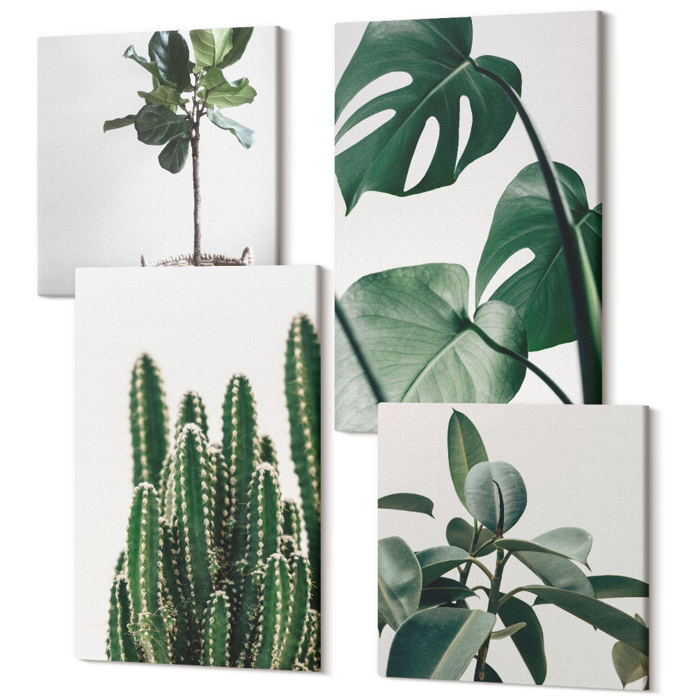Zestaw obrazów na płótnie kwadryptyk Tropikalne rośliny domowe estetyczne liście