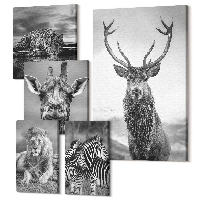 Zestaw obrazów na płótnie pentaptyk Zwierzęta w czerni i bieli z natury i dzikiej przyrody