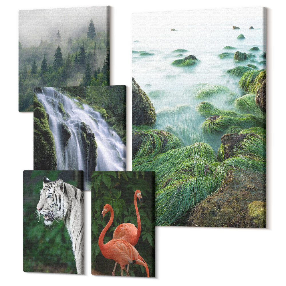 Zestaw obrazów 5 części pentaptyk Przyroda w różnych odsłonach z dzikimi zwierzętami i krajobrazami