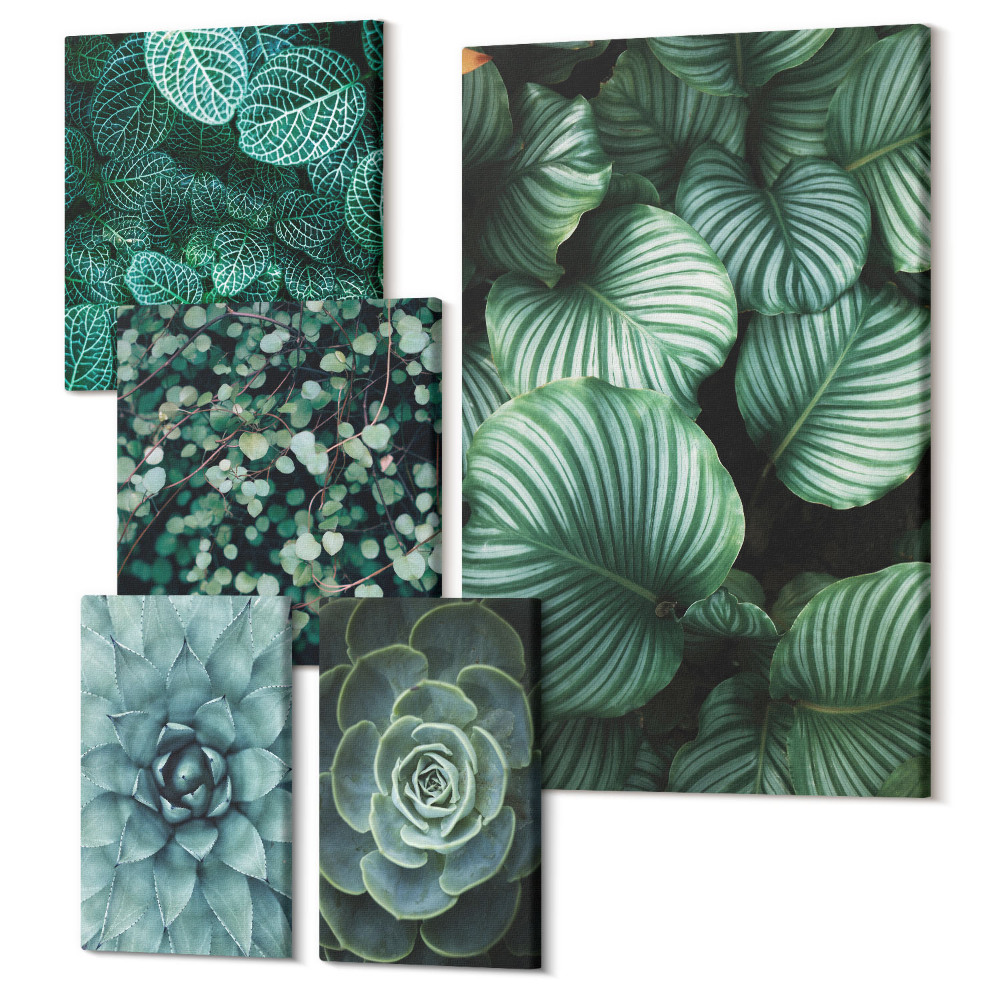 Zestaw obrazów 5 części pentaptyk Roślinne motywy z liśćmi i sukulentami w stylu naturalnym