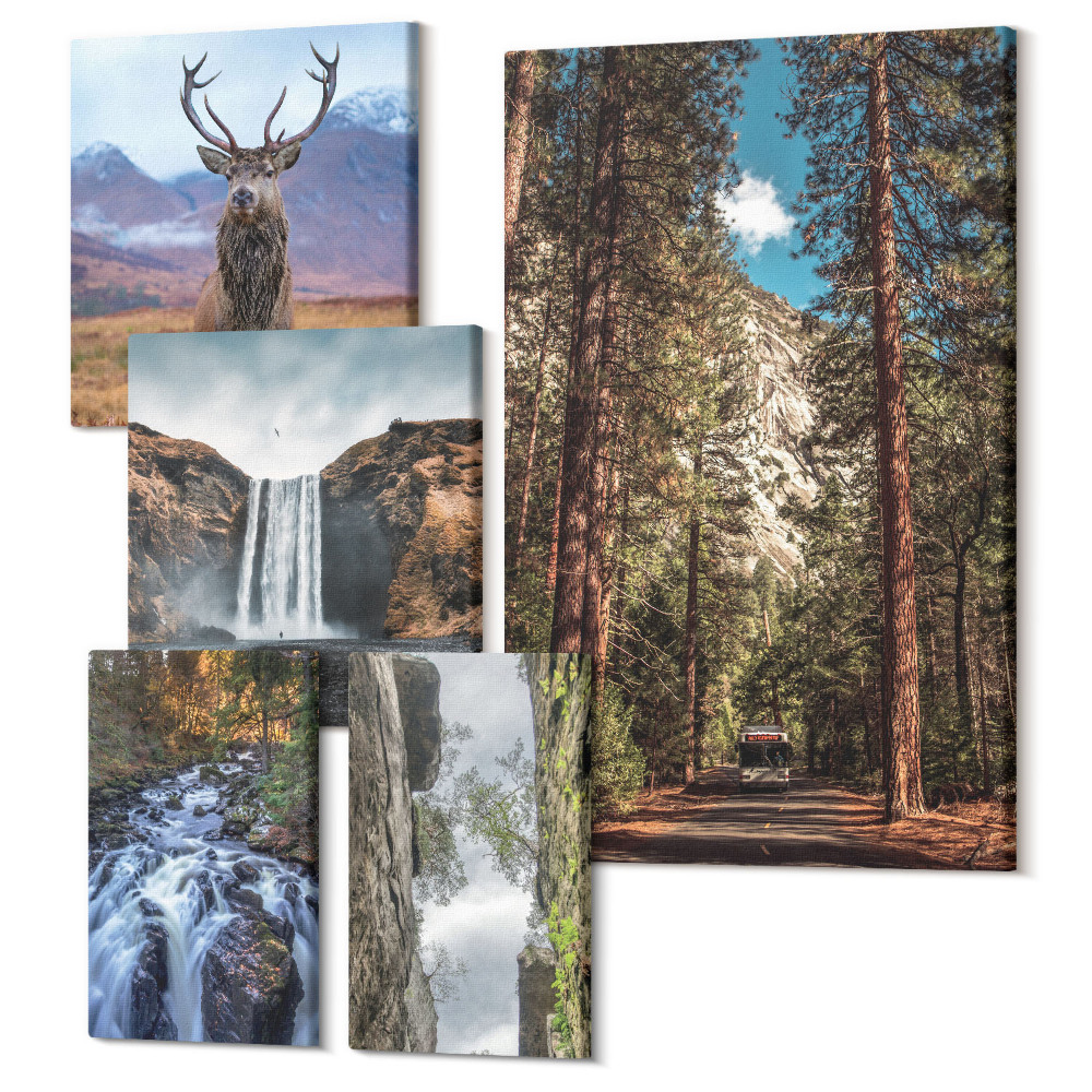 Zestaw obrazów pentaptyk na ścianę Naturalne krajobrazy z wodospadami i dziką przyrodą
