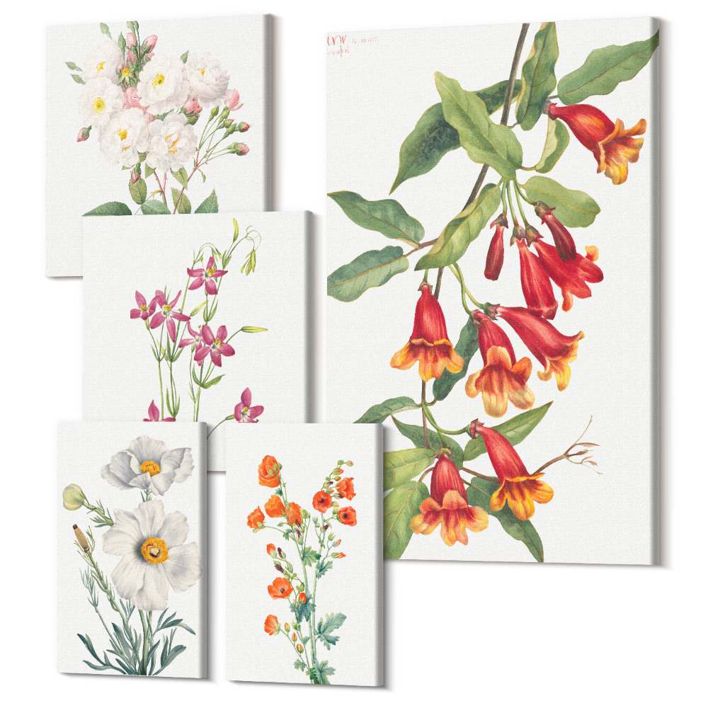 Zestaw obrazów 5 części pentaptyk Kwiatowe motywy w stylu botanicznym na płótnie
