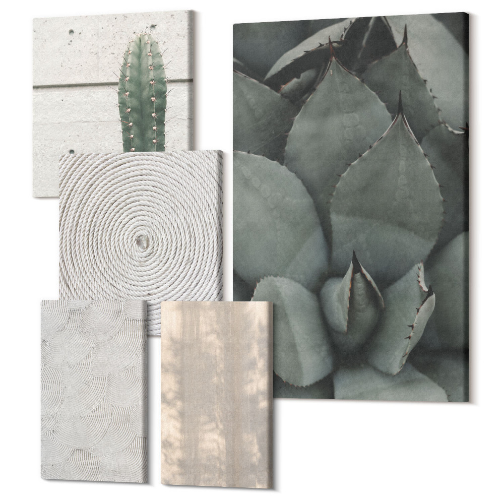 Zestaw obrazów 5 części pentaptyk Letnie tekstury zbliżenia w tropikalnym klimacie