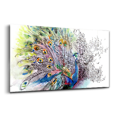 Foto-obraz szkło hartowane Kolorowy paw