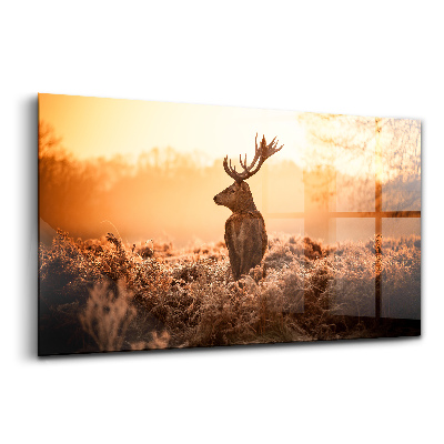 Obraz na szkle Jeleń o wschodzie słońca