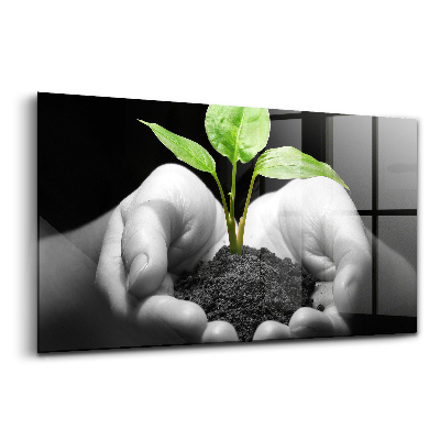 Obraz na szkle Roślina w dłoniach