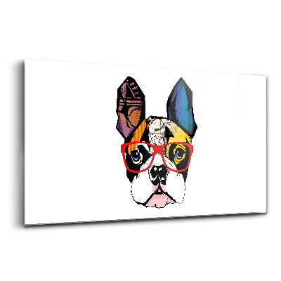 Obraz szklany Buldog francuski w okularach