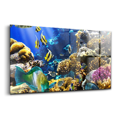 Obraz na szkle Zdjęcie ryby na rafie koralowej