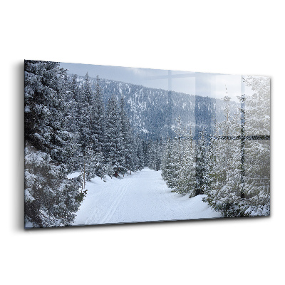 Obraz szklany Czeskie karkonosze w zimie