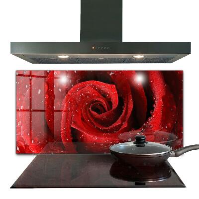 Lacobel do kuchni Krople Rosy na Czerwonej Róży