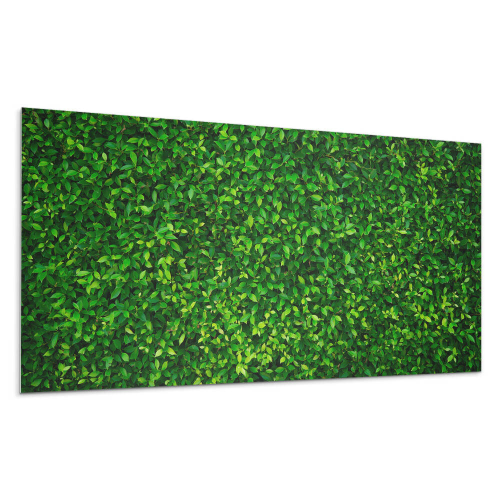 Panel na ścianę Gęsta ściana liści