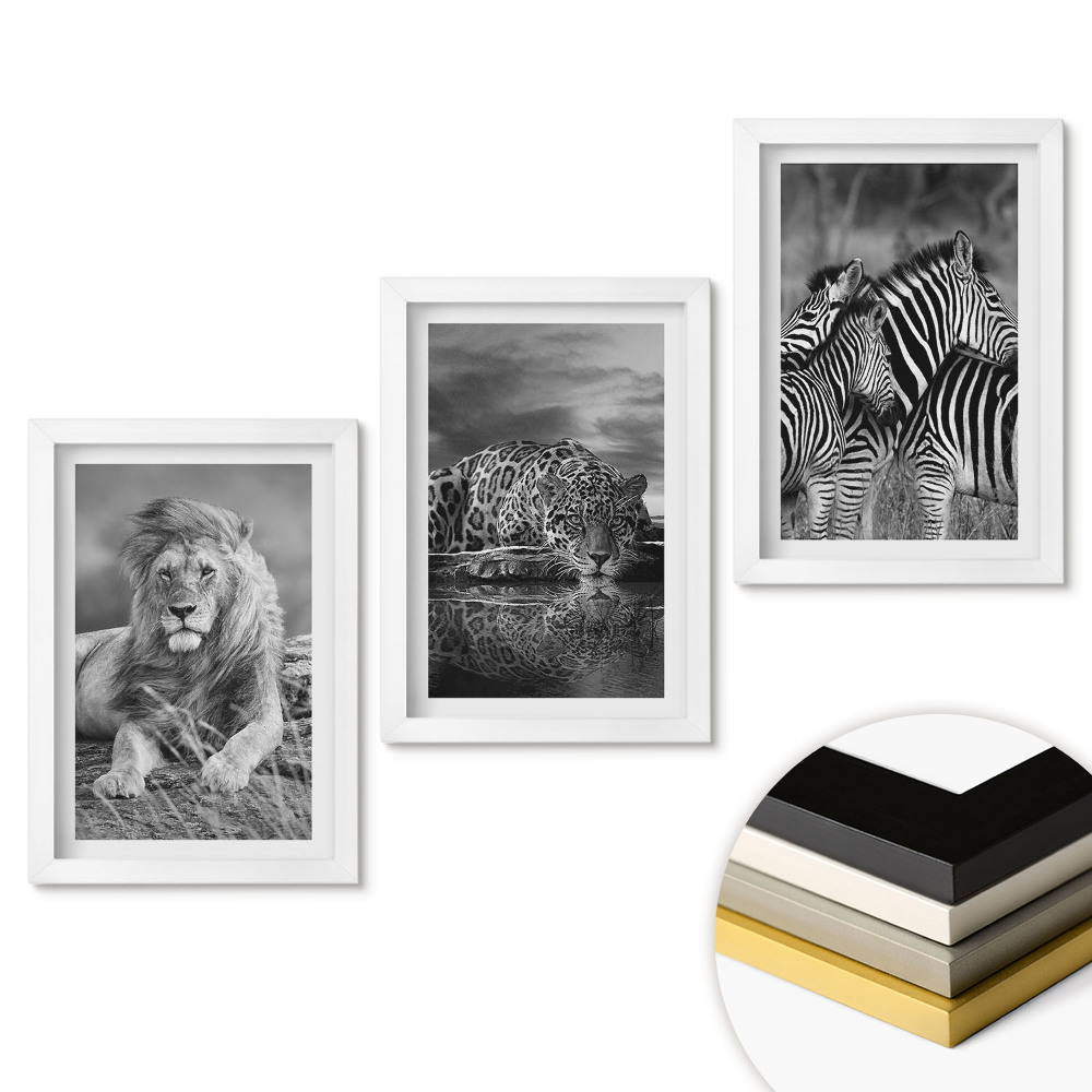Zestaw 3 obrazów w ramie Dzika przyroda w monochromatycznej odsłonie