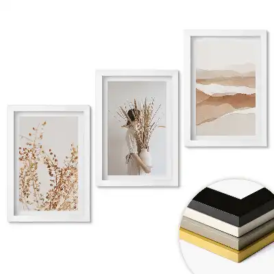 Zestaw 3 obrazów do salonu Naturalne piękno w minimalistycznym stylu