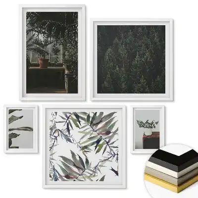 Galeria ścienna Zielona harmonia