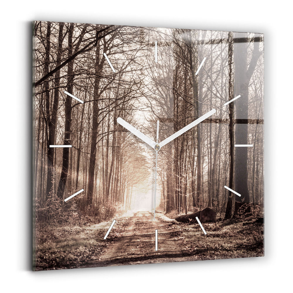 Zegar ścienny kwadratowy Ścieżka leśna w sepii