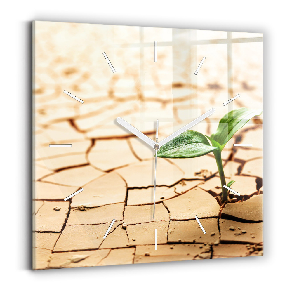 Zegar ścienny kwadratowy Roślina w suchej ziemi