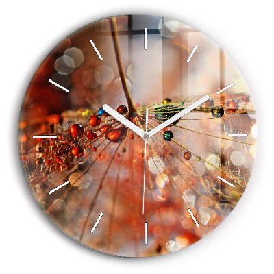 Zegar okrągły Dmuchawiec z rosą