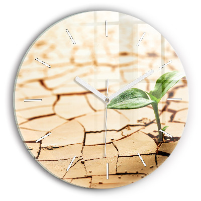 Zegar okrągły Roślina w suchej ziemi